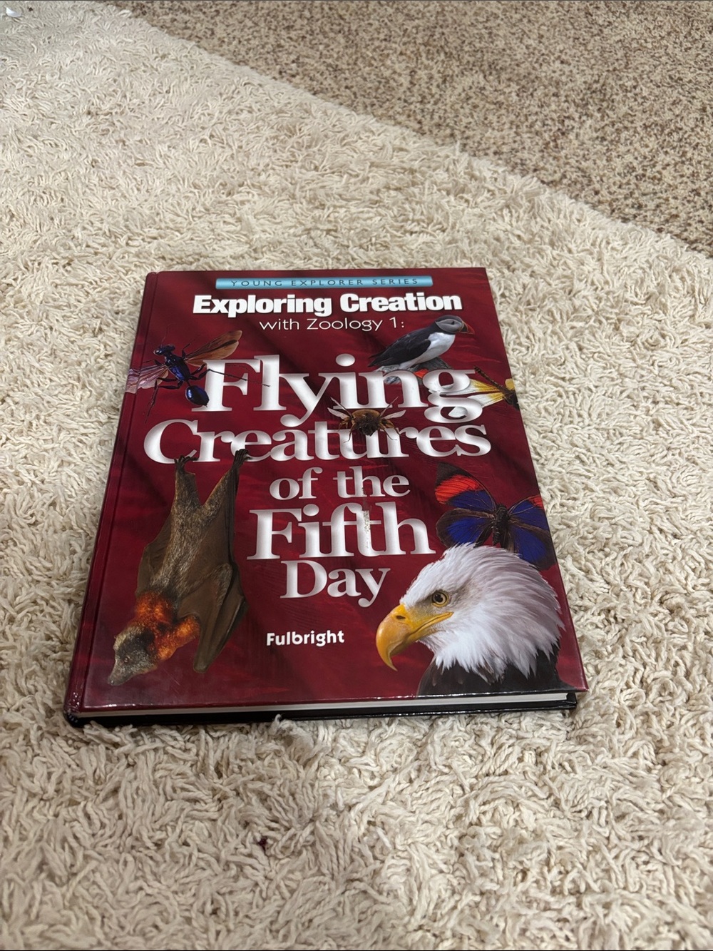 Flying Creatures of the Fifth Day